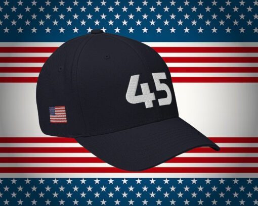 45 Dad Hat, 45 Baseball Cap, 45 Trump Hat, 45 Maga Hat, 45 Trump Caps