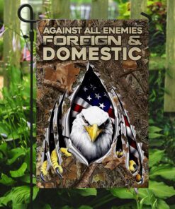 against all enemies foreign and domestic. eagle patriotism flag 1883