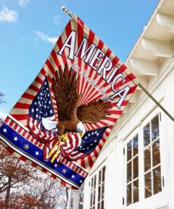 america let freedom reign flag 2888