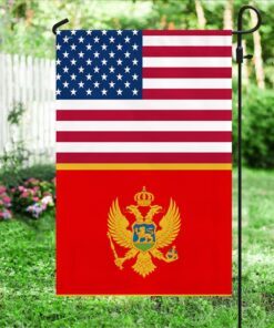 america flag and montenegro flag lnt638f 2733