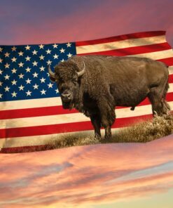 American Bison Buffalo Grommet Flag TQN246GF