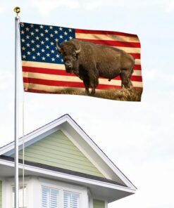 american bison buffalo grommet flag tqn246gf 3076