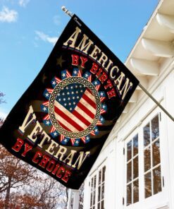 american by birth veteran by choice flag 8893