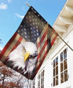 american eagle patriot. we the people flag 4660
