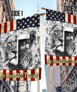 american flag in god we trust ddh2907f 6806
