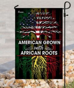 american grown with african roots flag 1267