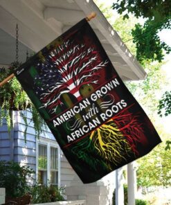 american grown with african roots flag 3133