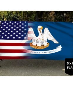 american louisiana grommet flag trn1432gf 3441