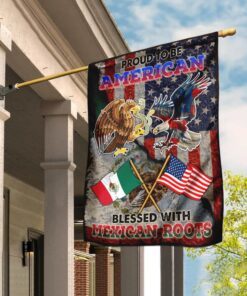 American Mexican Friendship Flag