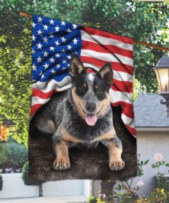 australian cattle dog. blue heeler american patriot flag thh3413f 4542