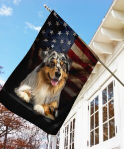 australian shepherd american flag 3476