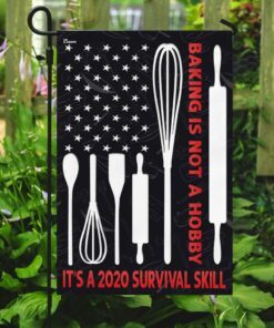 baking american us flag 2749