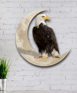 bald eagle on the moon hanging metal sign qnk1005msv15 6299