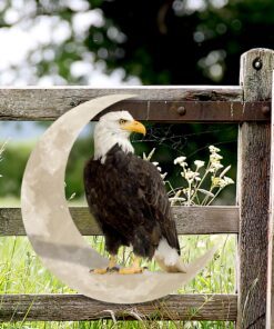 bald eagle on the moon hanging metal sign qnk1005msv15 7950