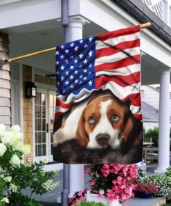 beagle. american patriot flag 7696