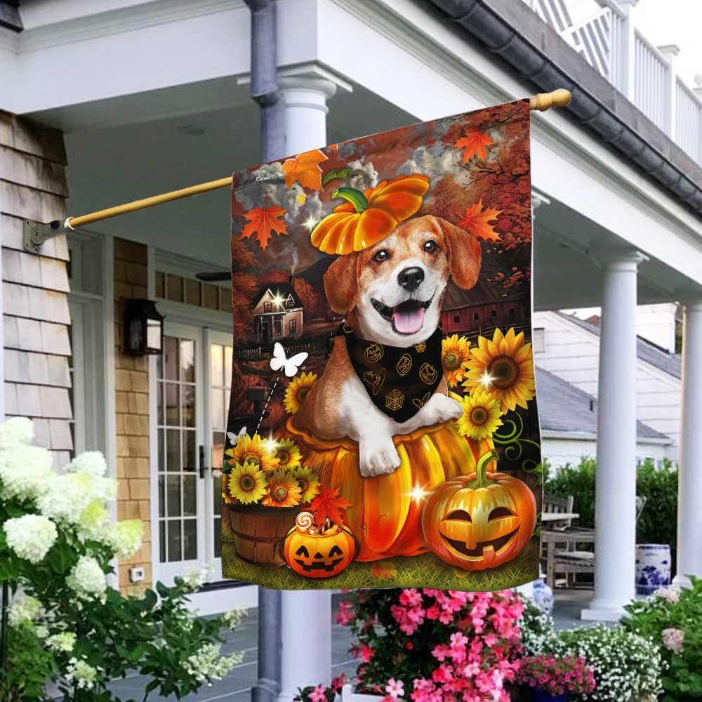Beagle Pumpkin Happy Fall Y'all Flag DBD2783Fv3