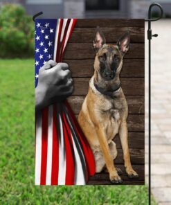 belgian malinois american flag 1746