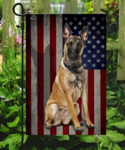 belgian malinois american flag 4613