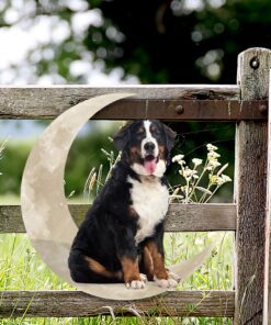 bernese mountain dog and moon hanging metal sign qnk879msv30 6944
