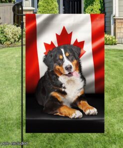 bernese mountain dog canadian flag qnn557fv17 1128