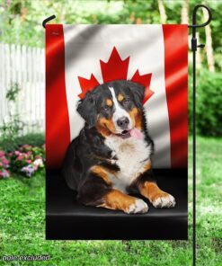 bernese mountain dog canadian flag qnn557fv17 4563