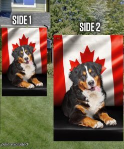 bernese mountain dog canadian flag qnn557fv17 6727