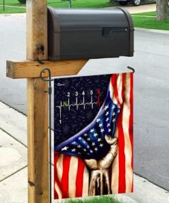 biker flag 3857