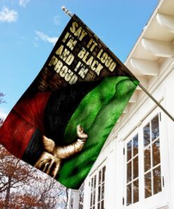 black power flag 1563