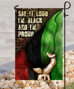 black power flag 5337