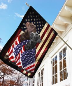 black and chocolate labrador retriever american patriot flag 1144