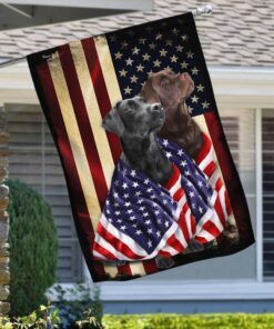 black and chocolate labrador retriever american patriot flag 4857