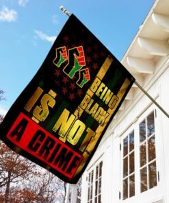 black and proud flag 7098