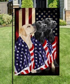 black and yellow labrador retriever dogs american patriot flag bnn136f 4211