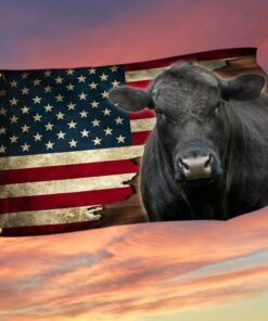 Black Angus Cattle American Grommet Flag MLN437GF