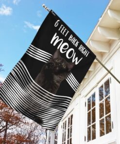 black cat 3d 6 feet back right meow flag 8340