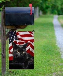 black cat american flag 1961