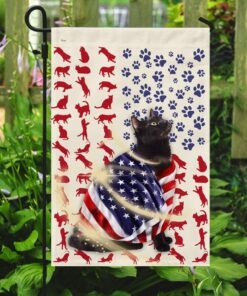 black cat american flag 2009