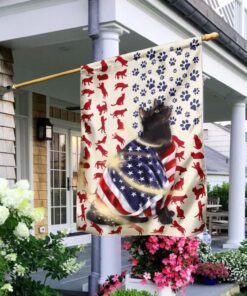 Black Cat American Flag