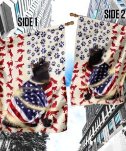 black cat american flag 3274