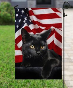 black cat american flag 3648