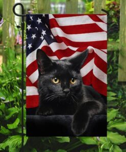 black cat american flag 5678