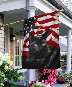 Black Cat American Flag