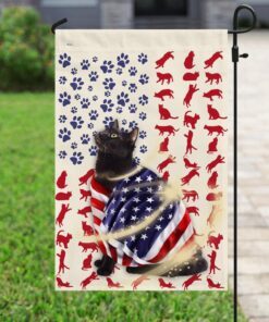 black cat american flag 6600