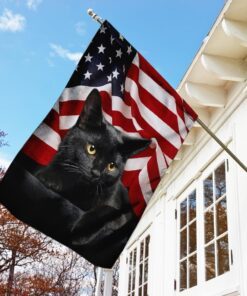 black cat american flag 8901