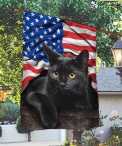 black cat american patriot flag thh2903fv28 5481