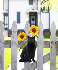 black cat and sunflower hanging metal sign qnn624ms 7743