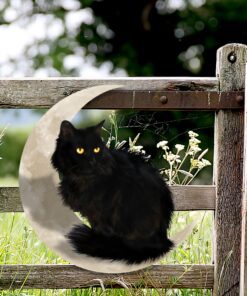 black cat on the moon hanging metal sign qnk1012msd 2919