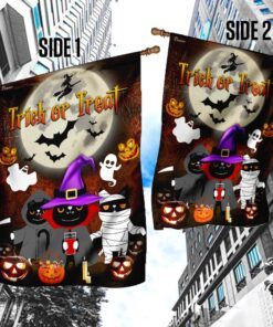 Black Cat Pumpkin Halloween Costume Flag