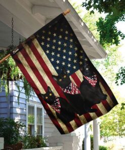 black cats american flag 5284