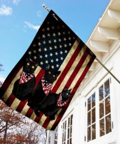 black cats american flag 6726